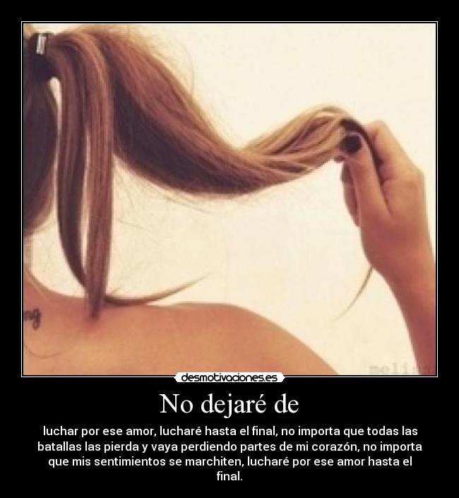 No dejaré de - luchar por ese amor, lucharé hasta el final, no importa que todas las
batallas las pierda y vaya perdiendo partes de mi corazón, no importa
que mis sentimientos se marchiten, lucharé por ese amor hasta el
final.