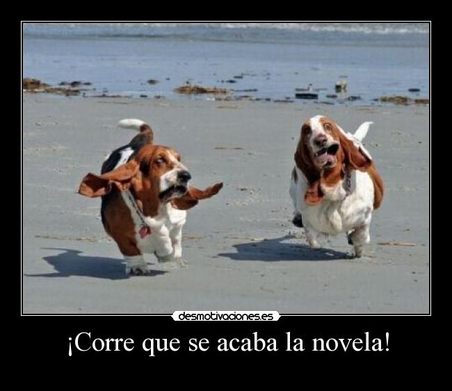 ¡Corre que se acaba la novela! - 