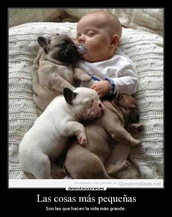 Las cosas más pequeñas - Son las que hacen la vida más grande .