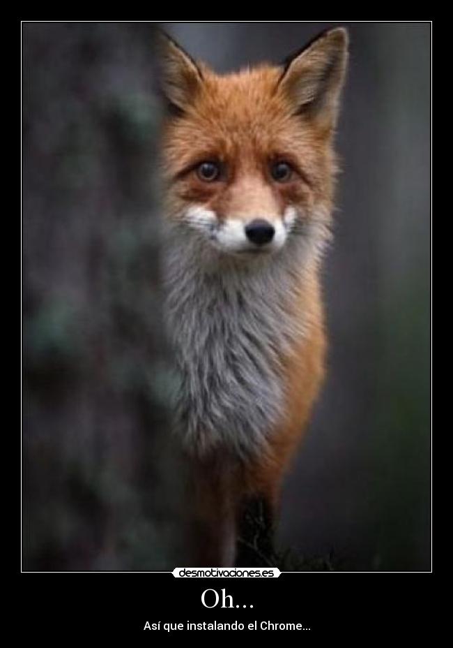 carteles decepcionado desmotivaciones