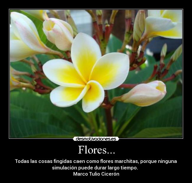 carteles marco tulio ciceron romina vergara ignacio pinto desmotivaciones