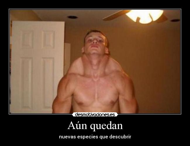 Aún quedan - 