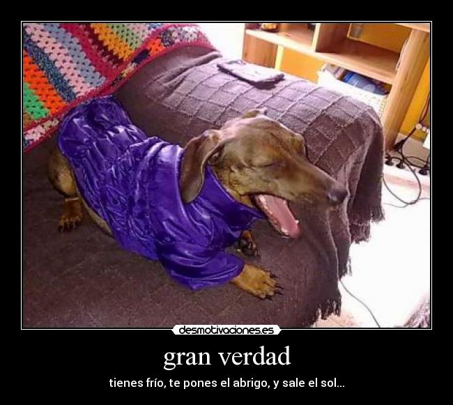gran verdad - tienes frío, te pones el abrigo, y sale el sol...