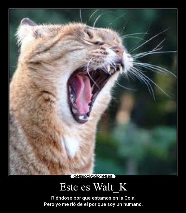 Este es Walt_K - Riéndose por que estamos en la Cola.
Pero yo me rió de el por que soy un humano.