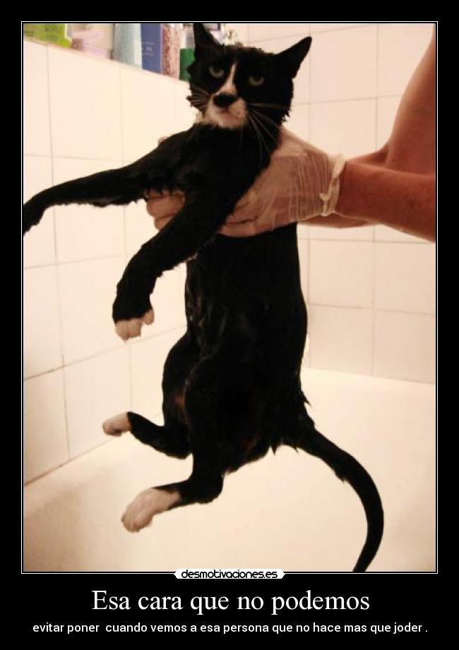 Esa cara que no podemos - 