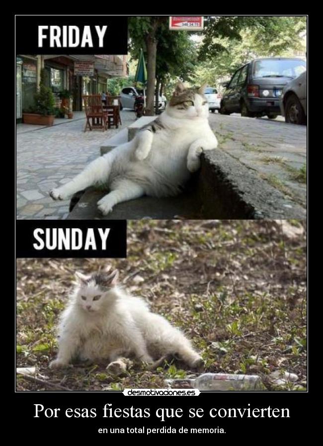 carteles vfvfv desmotivaciones