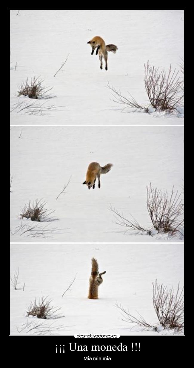 carteles frfrf desmotivaciones