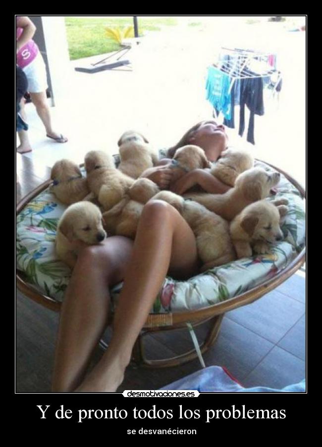 carteles problemas vfvfv desmotivaciones