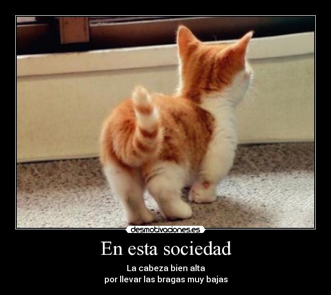 En esta sociedad - La cabeza bien alta
por llevar las bragas muy bajas