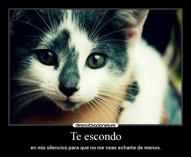 Te escondo - 