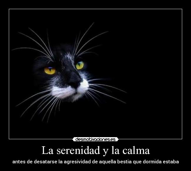 La serenidad y la calma -
