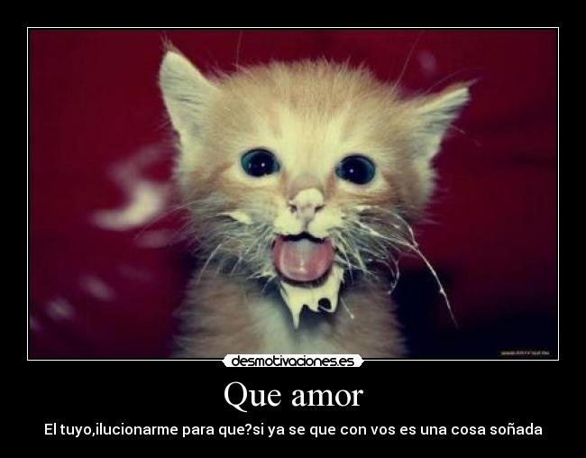 Que amor -