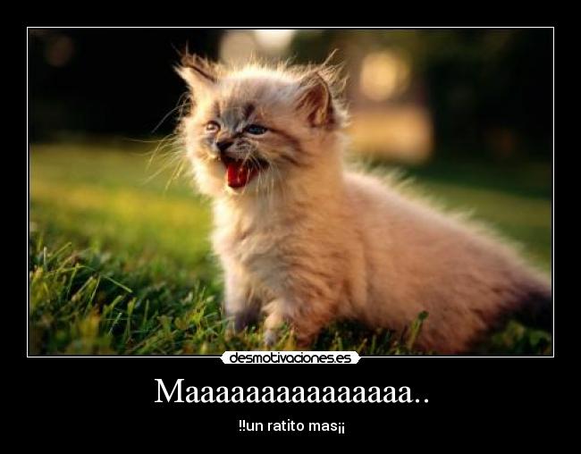 Maaaaaaaaaaaaaaa.. -