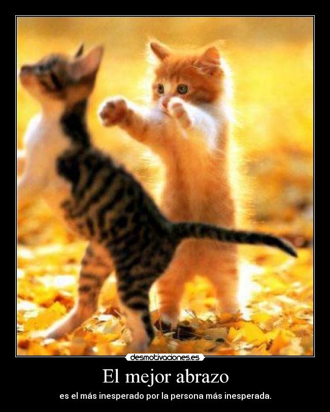 El mejor abrazo - 