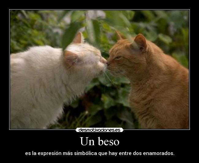 Un beso - 