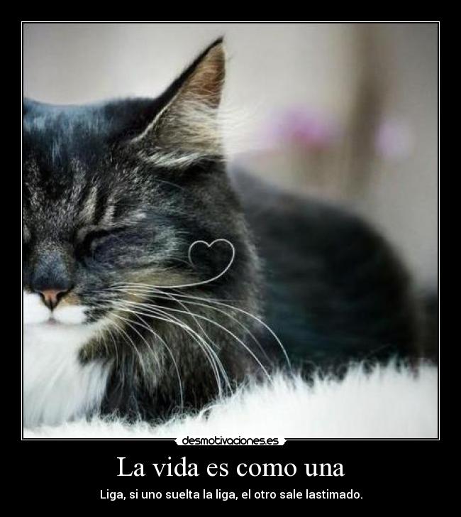 La vida es como una - Liga, si uno suelta la liga, el otro sale lastimado.