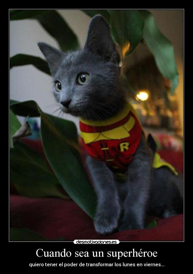 Cuando sea un superhéroe - quiero tener el poder de transformar los lunes en viernes...