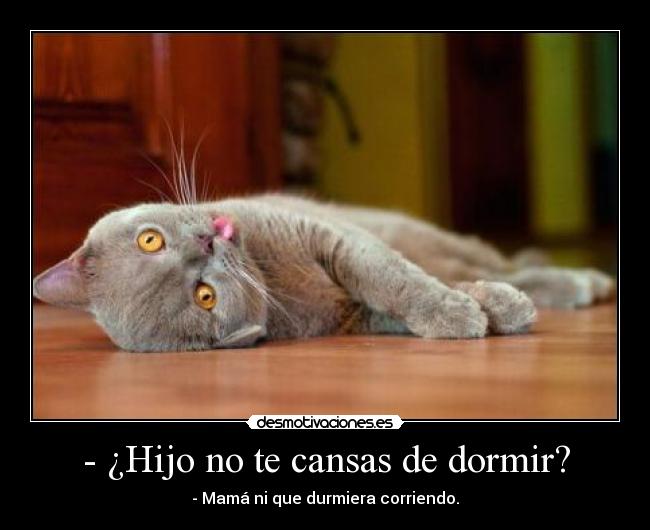 carteles dormir hijo cansas dormir desmotivaciones