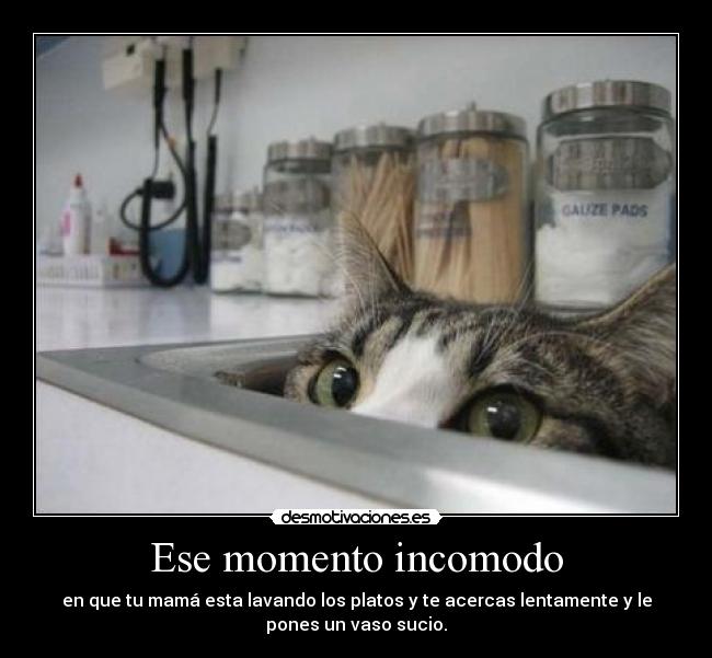 Ese momento incomodo - en que tu mamá esta lavando los platos y te acercas lentamente y le
pones un vaso sucio.