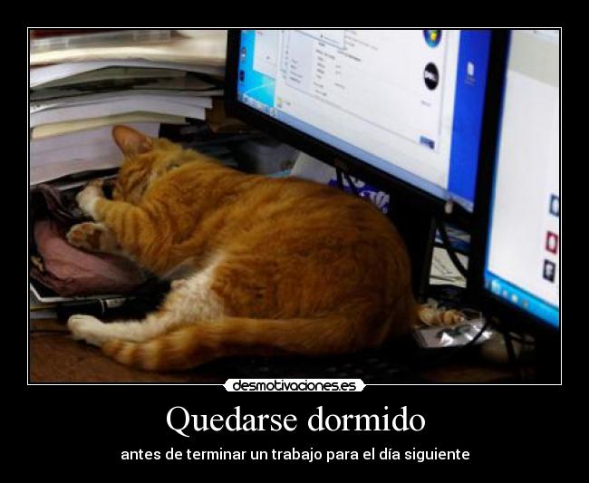 Quedarse dormido - antes de terminar un trabajo para el día siguiente