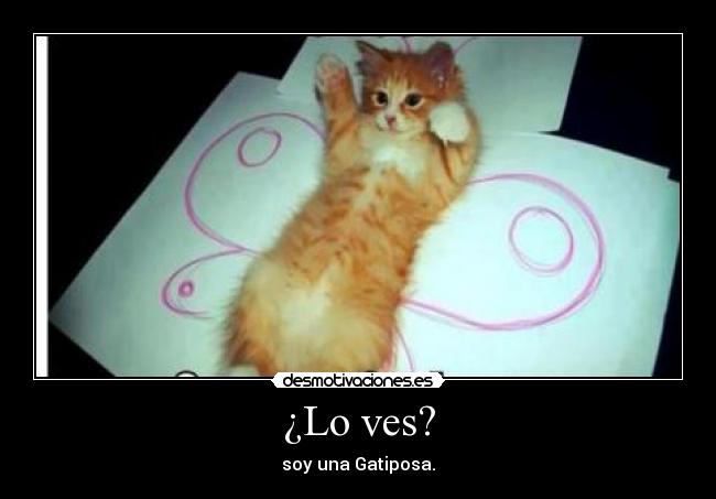 ¿Lo ves? - soy una Gatiposa.