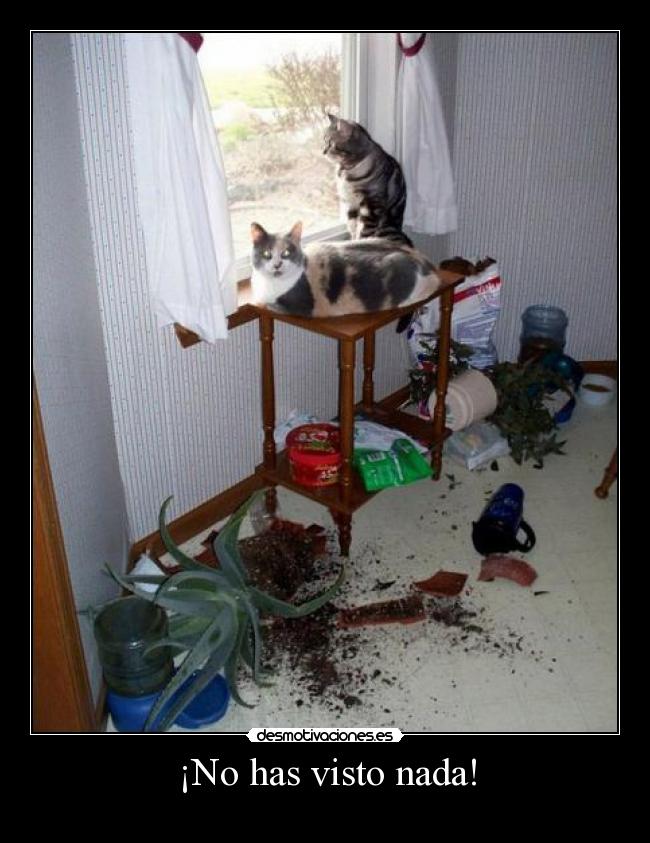 ¡No has visto nada! -