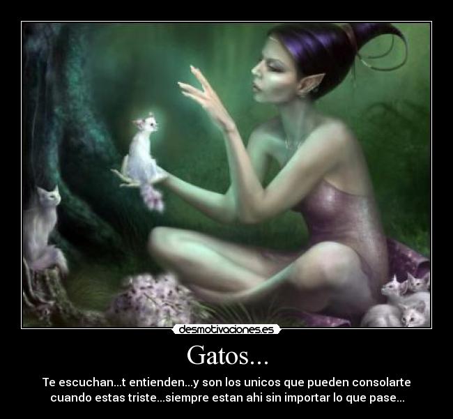 Gatos... - Te escuchan...t entienden...y son los unicos que pueden consolarte
cuando estas triste...siempre estan ahi sin importar lo que pase...