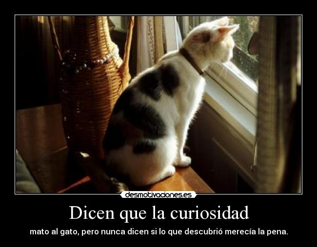 Dicen que la curiosidad - mato al gato, pero nunca dicen si lo que descubrió merecía la pena.