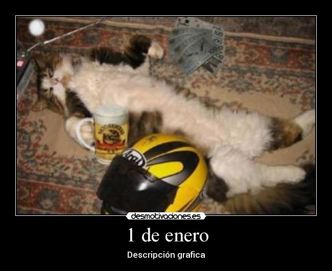 1 de enero - Descripción grafica