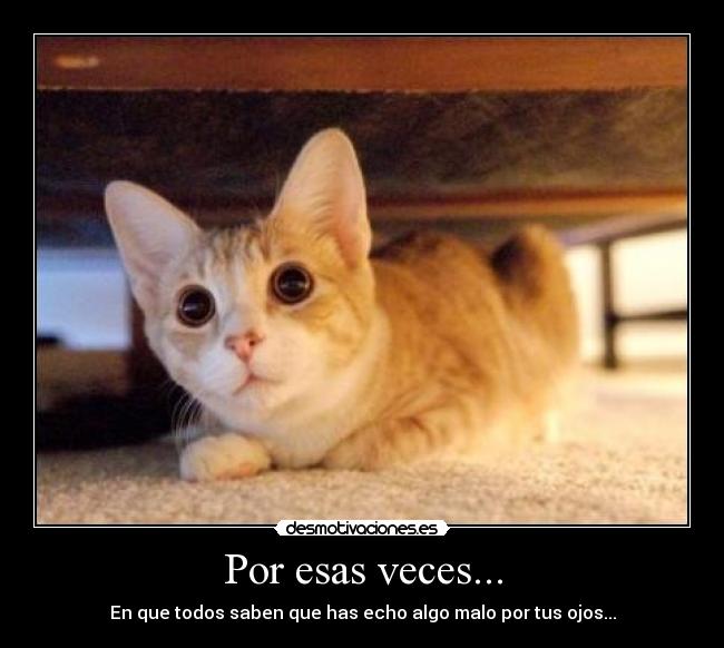 Por esas veces... - En que todos saben que has echo algo malo por tus ojos...