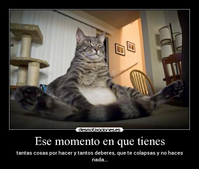 Ese momento en que tienes - tantas cosas por hacer y tantos deberes, que te colapsas y no haces nada...