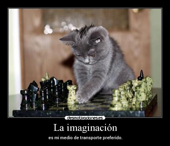 La imaginación - es mi medio de transporte preferido.