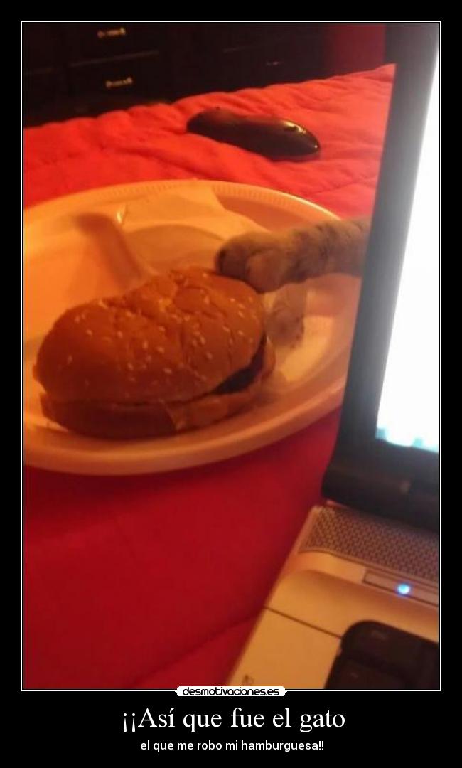 ¡¡Así que fue el gato - 