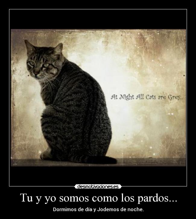 Tu y yo somos como los pardos... - Dormimos de día y Jodemos de noche.