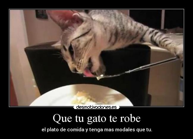 carteles que gatoste robe desmotivaciones