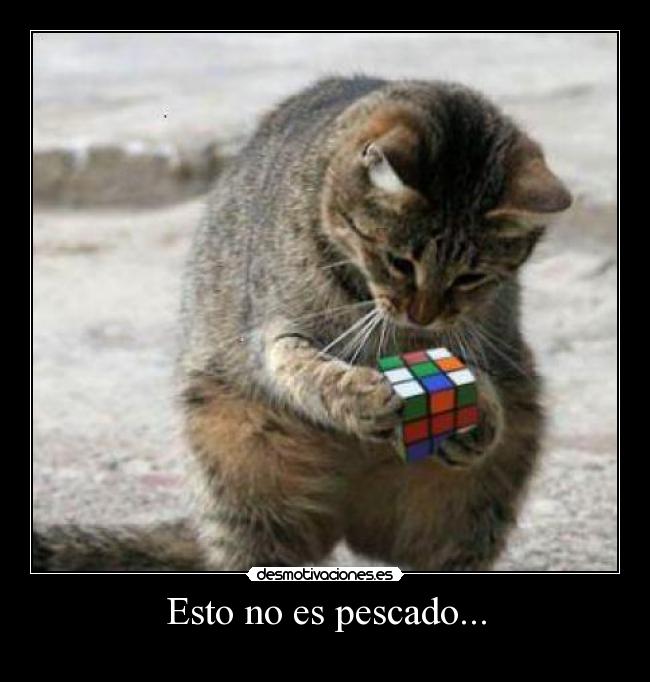 Esto no es pescado... -