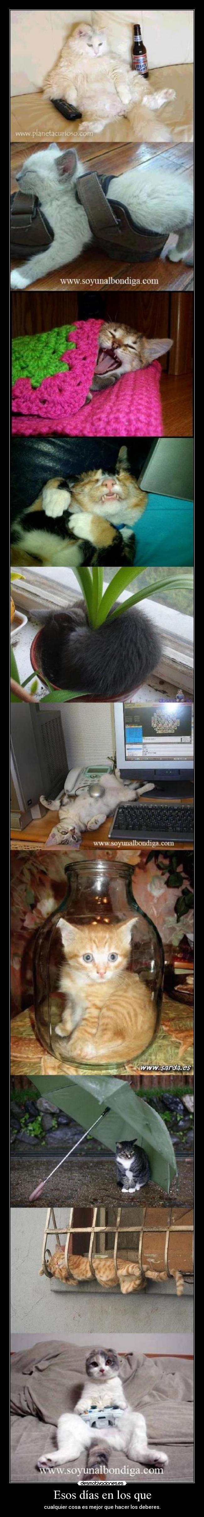 carteles esos dias los que cualquier cosa mejor que hacer los deberes desmotivaciones