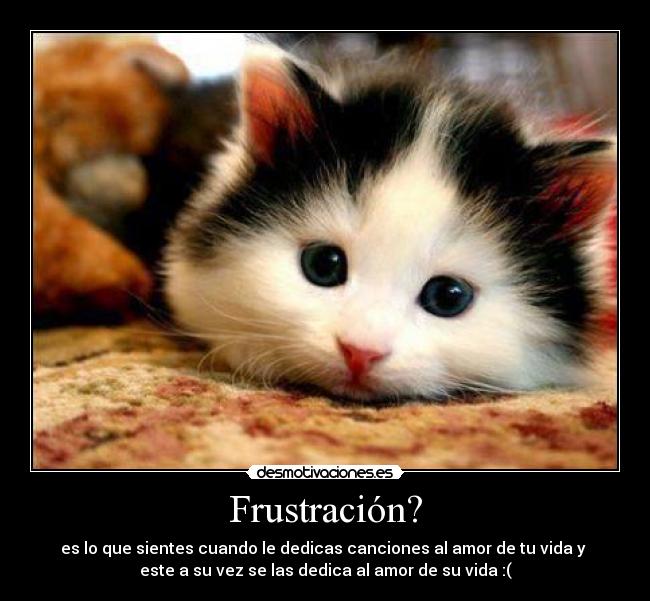 Frustración? - es lo que sientes cuando le dedicas canciones al amor de tu vida y 
este a su vez se las dedica al amor de su vida :(