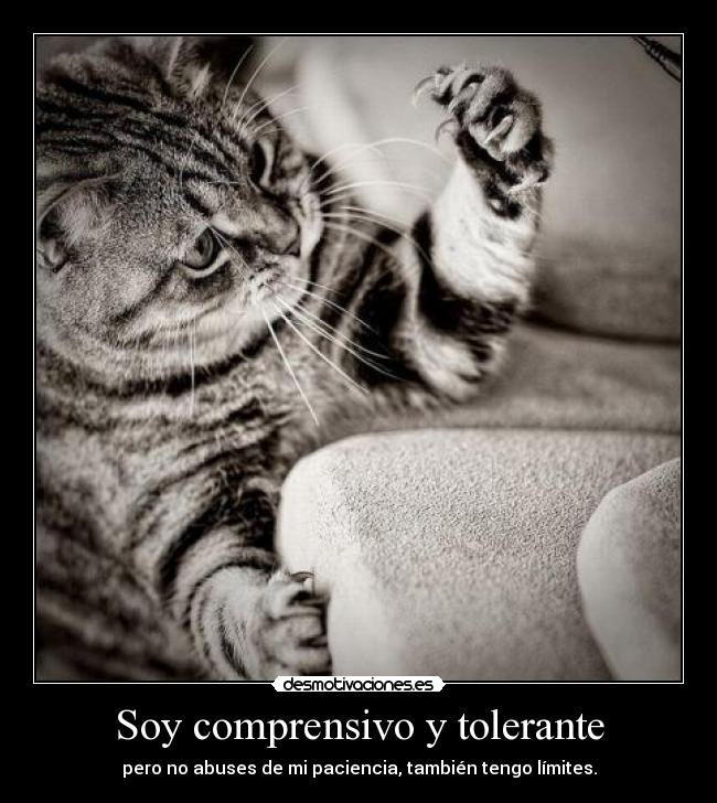 Soy comprensivo y tolerante - 