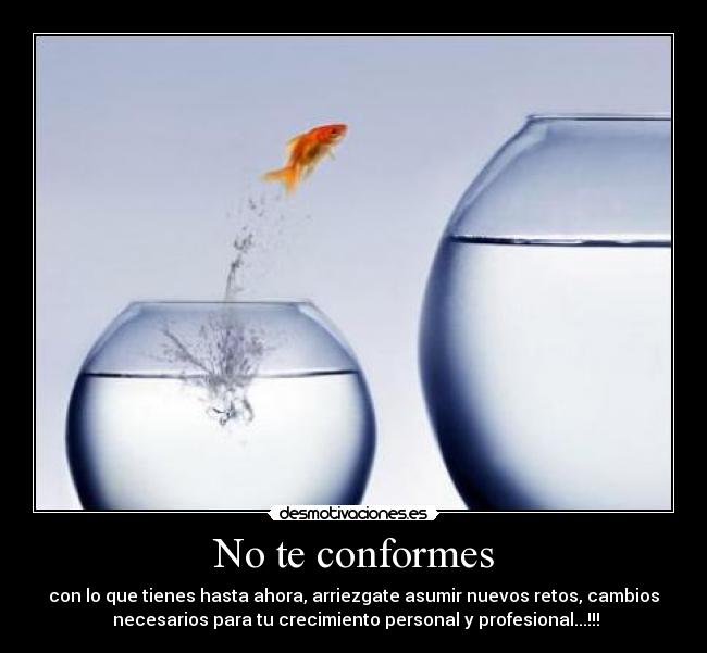 carteles elelloco desmotivaciones