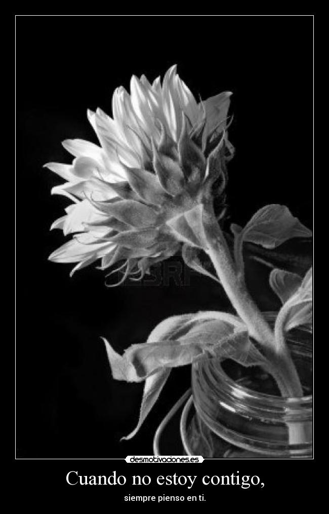 Cuando no estoy contigo, - siempre pienso en ti.