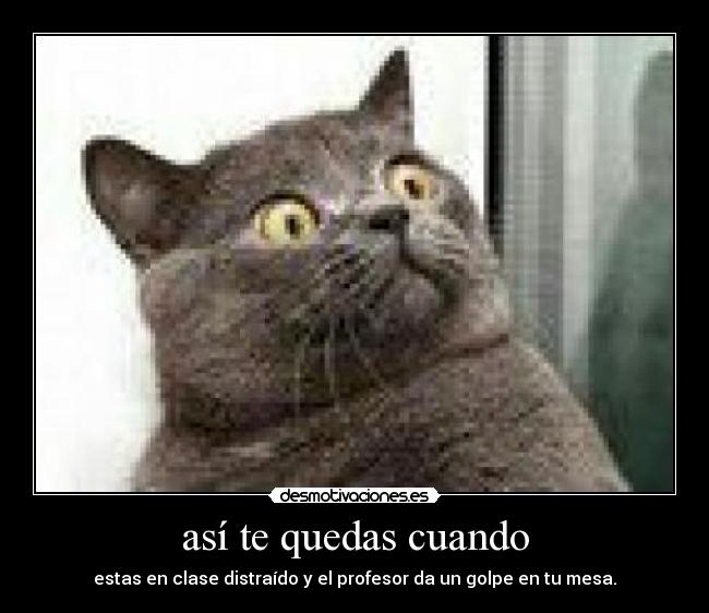 así te quedas cuando - estas en clase distraído y el profesor da un golpe en tu mesa.