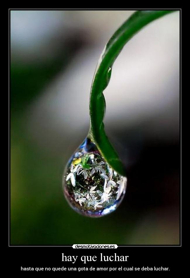 hay que luchar - hasta que no quede una gota de amor por el cual se deba luchar.