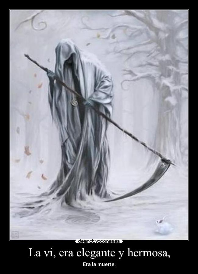 La vi, era elegante y hermosa, -