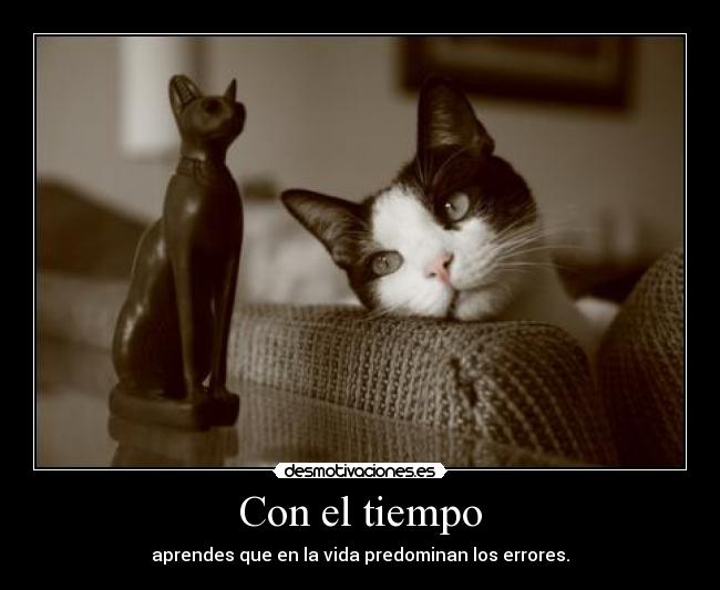 Con el tiempo - aprendes que en la vida predominan los errores.