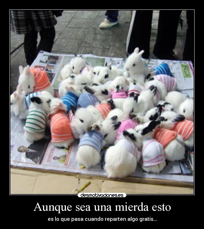 Aunque sea una mierda esto - 