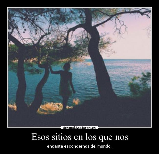 carteles ss1996 desmotivaciones