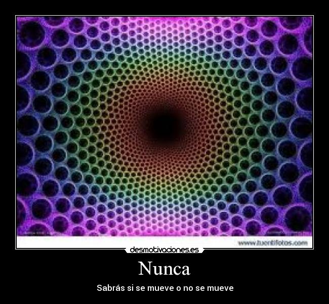 Nunca - Sabrás si se mueve o no se mueve