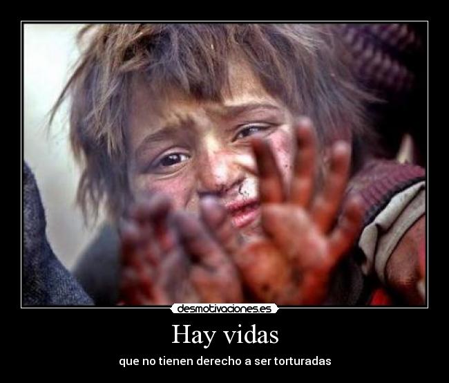 Hay vidas - 