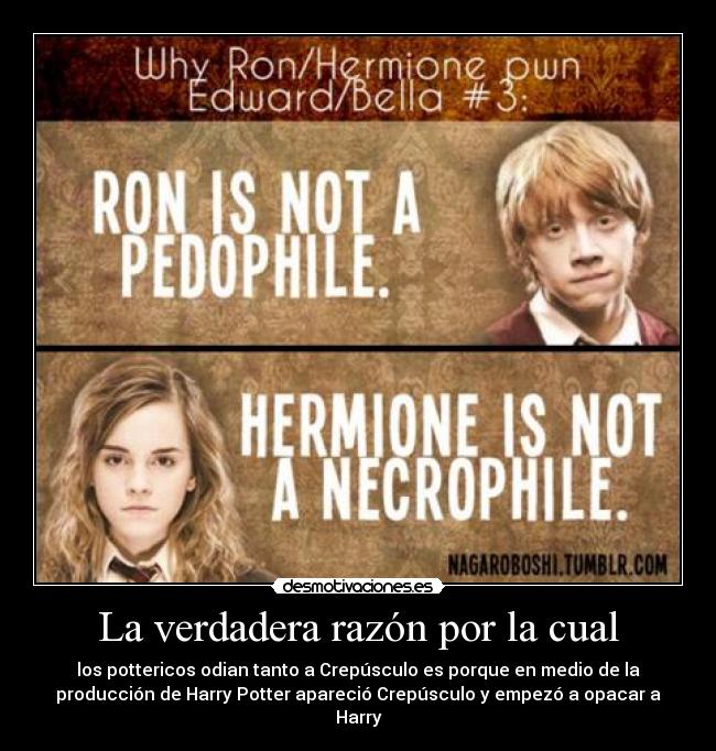 La verdadera razón por la cual -